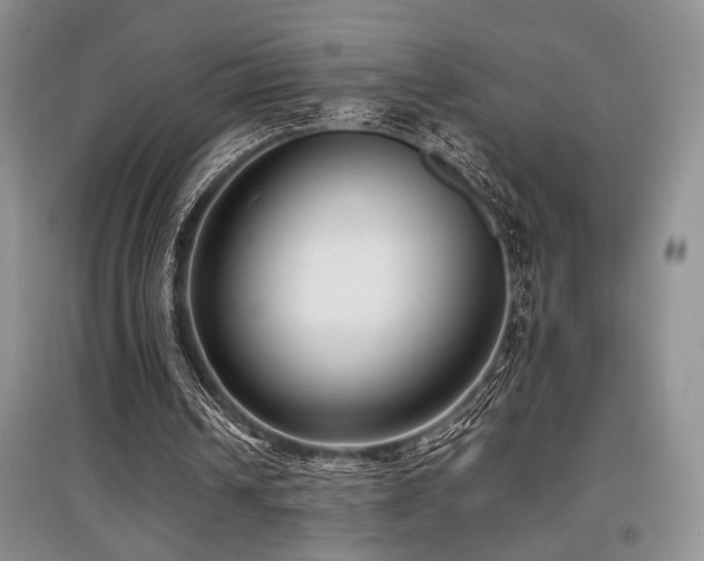 X0000097800242200803141100