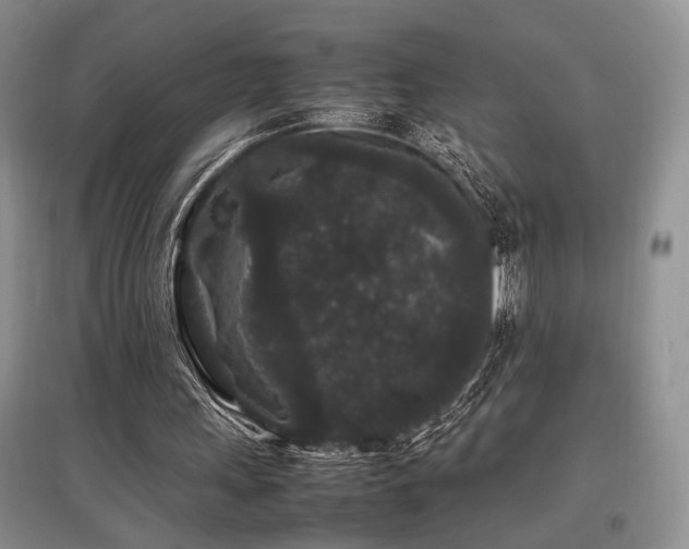 X0000097800243200803141100