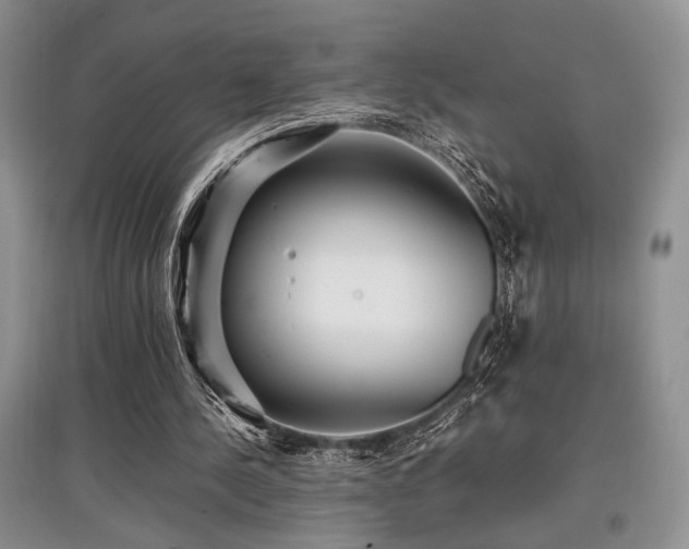 X0000097800244200803141100