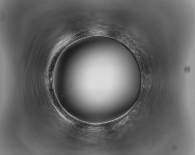 X0000097800245200803141100