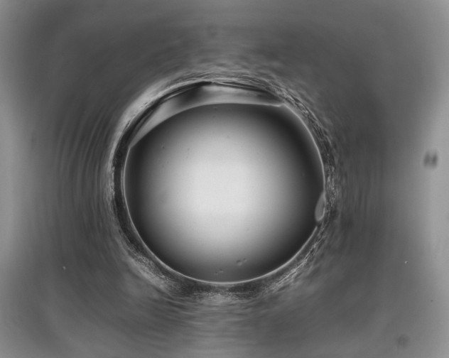 X0000097800246200803141100