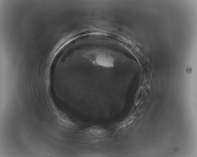 X0000097800247200803141100