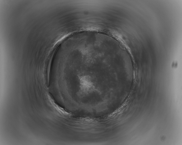 X0000097800249200803141100