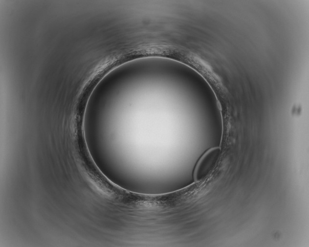 X0000097800250200803141100