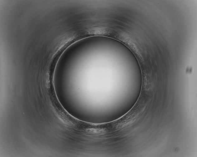 X0000097800251200803141100