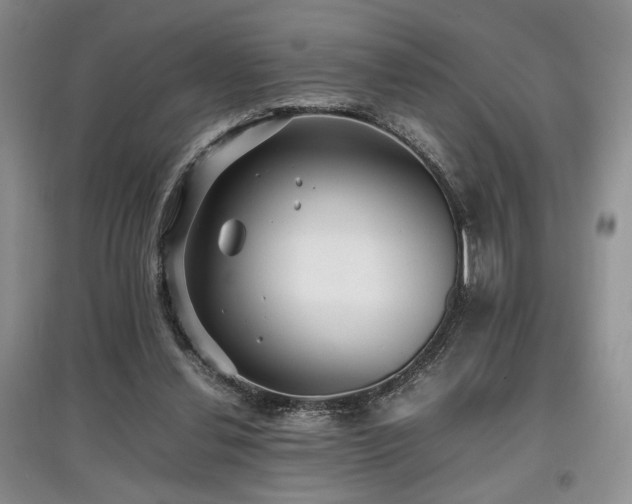 X0000097800252200803141100