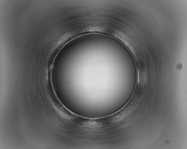 X0000097800253200803141100