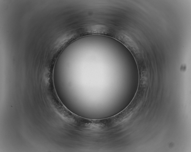 X0000097800255200803141100