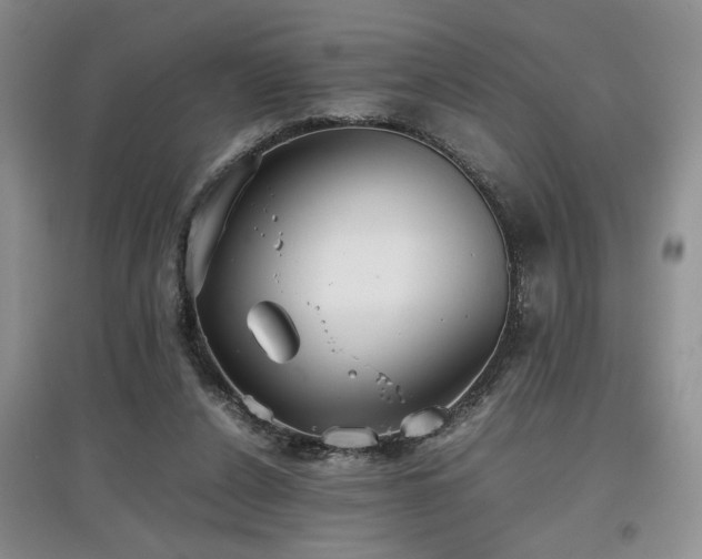 X0000097800256200803141100