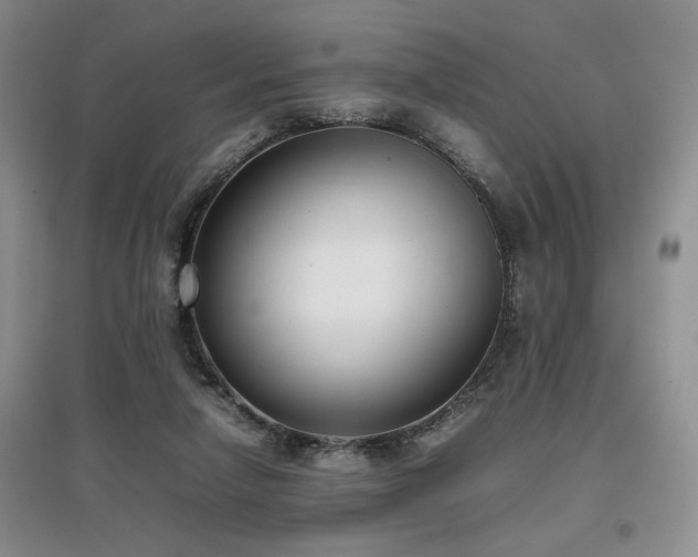 X0000097800258200803141100