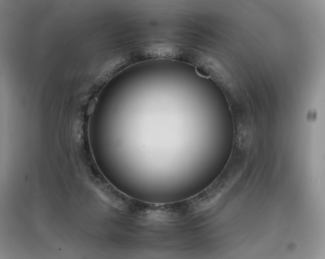 X0000097800259200803141100