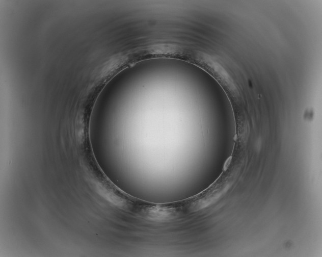 X0000097800261200803141100