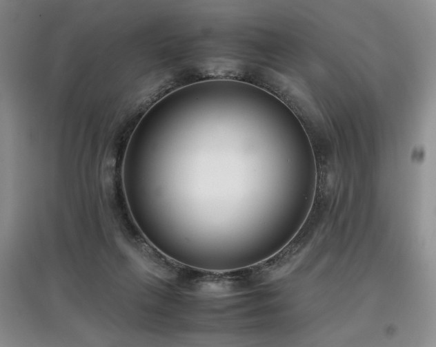 X0000097800263200803141100