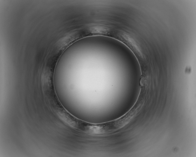 X0000097800265200803141100