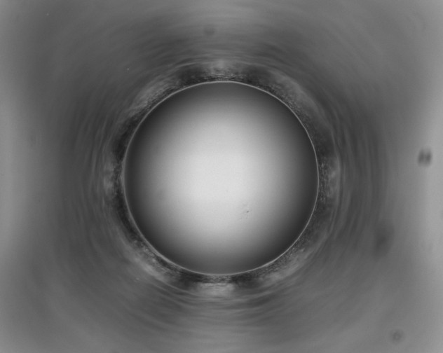 X0000097800266200803141100