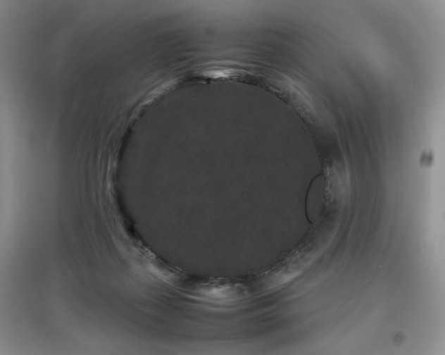 X0000097800267200803141100