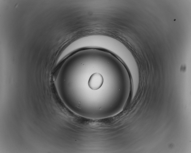 X0000097800268200803141100