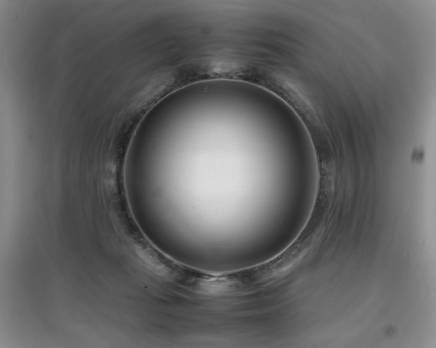 X0000097800269200803141100