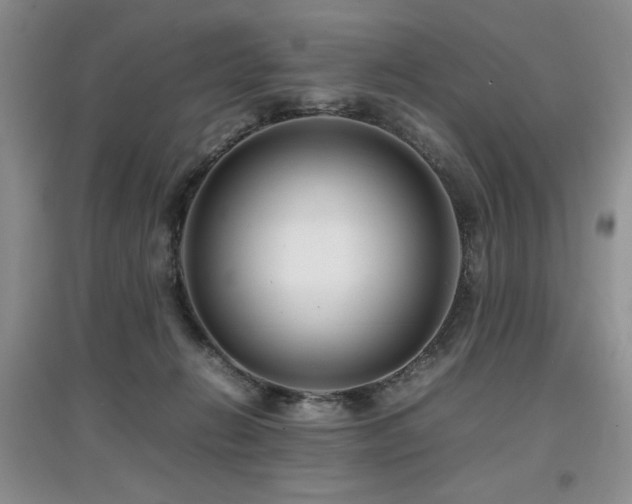 X0000097800270200803141100