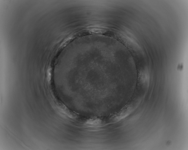 X0000097800271200803141100