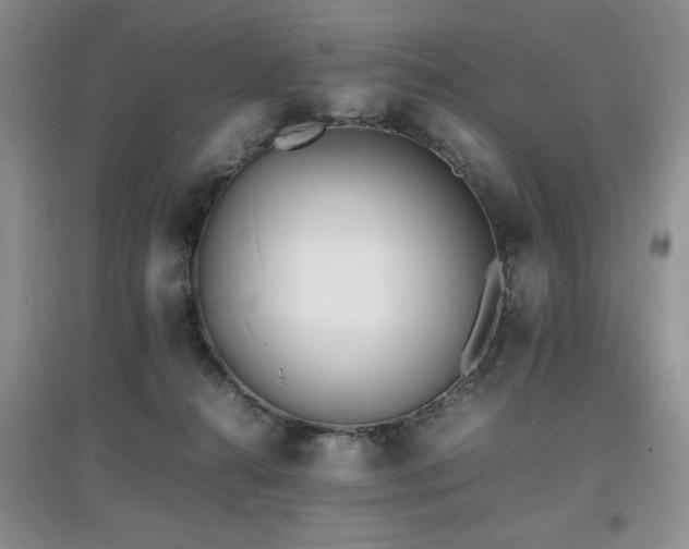 X0000097800272200803141100