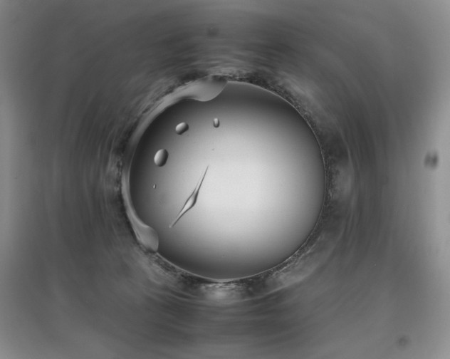 X0000097800273200803141101