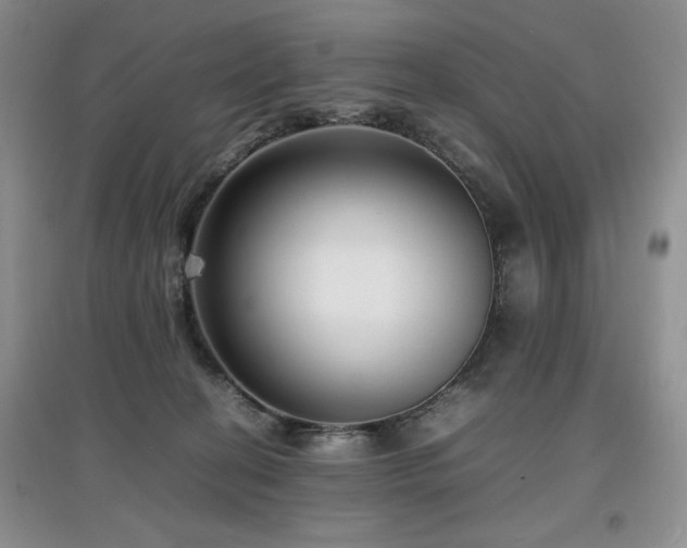 X0000097800274200803141101