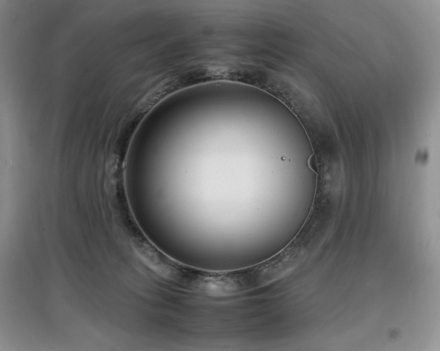 X0000097800275200803141101