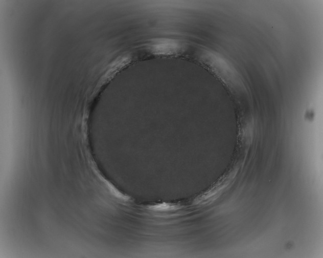 X0000097800277200803141101