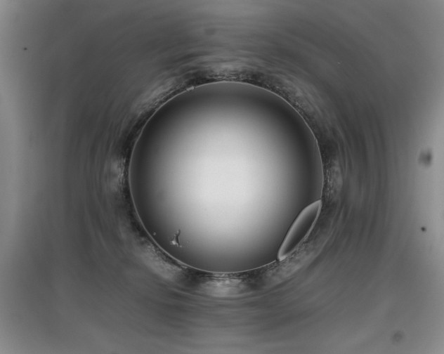 X0000097800278200803141101