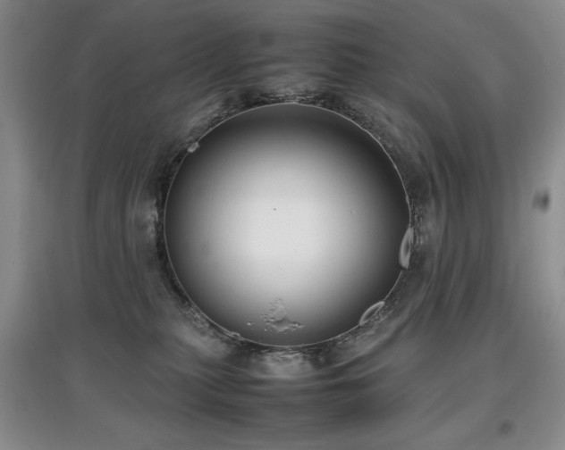 X0000097800279200803141101