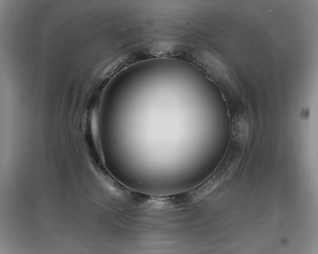 X0000097800280200803141101