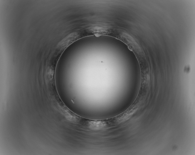 X0000097800281200803141101