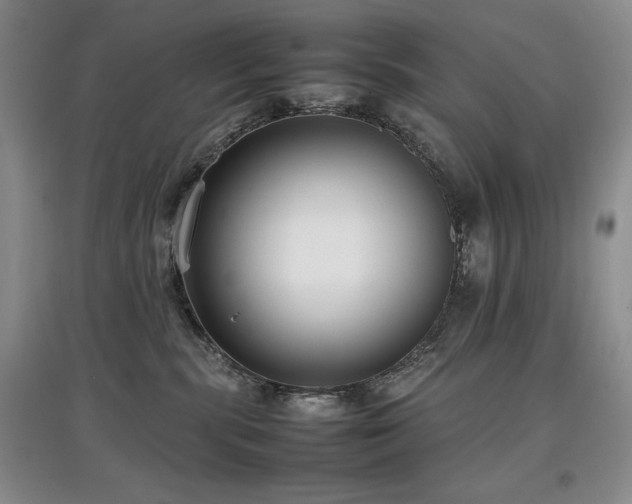 X0000097800283200803141101