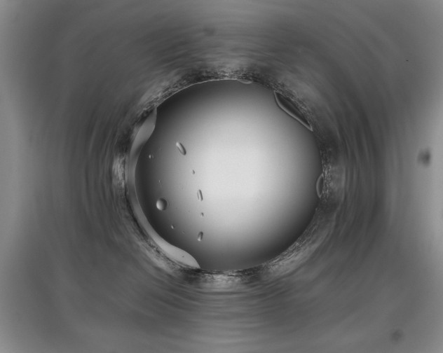 X0000097800286200803141101