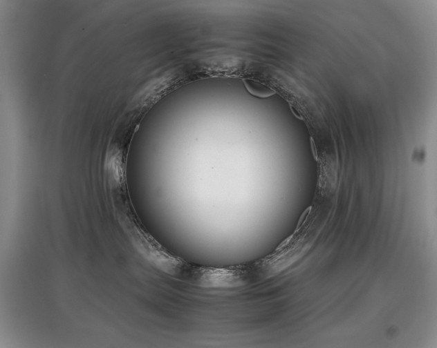 X0000097800287200803141101