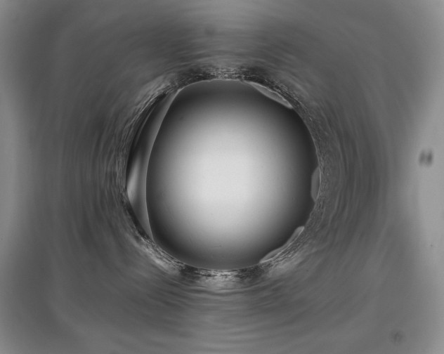 X0000097800288200803141101