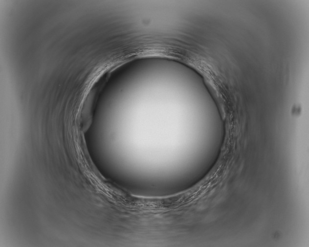 X0000097800289200803141100