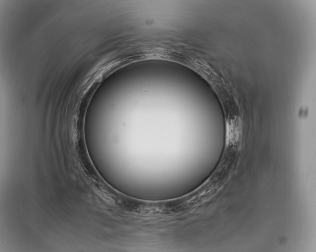 X0000097800291200803141100