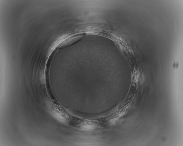 X0000097800292200803141100