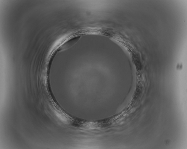 X0000097800293200803141100