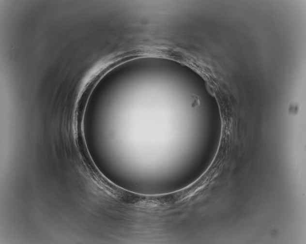 X0000097800294200803141100