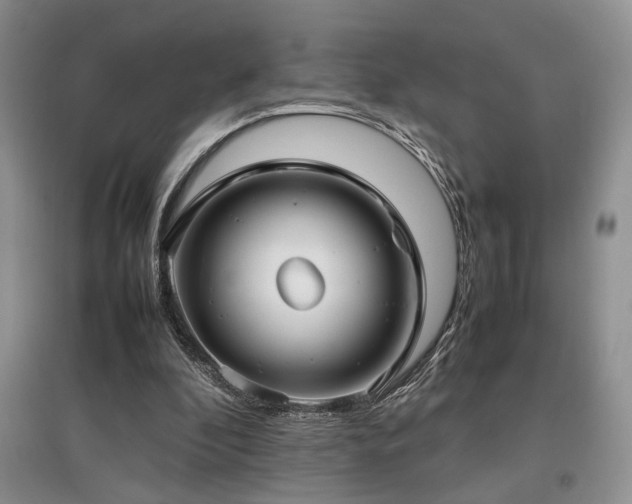 X0000097800296200803141100