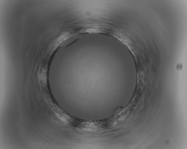 X0000097800297200803141100