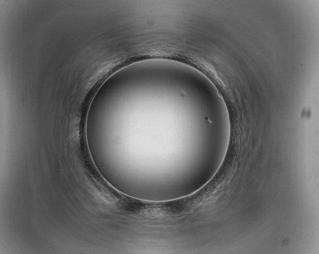 X0000097800299200803141100