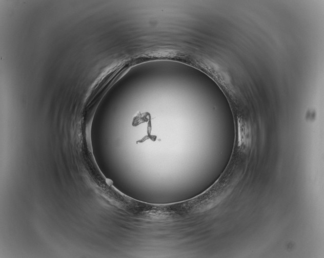 X0000097800300200803141100