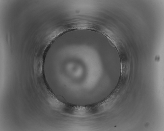 X0000097800301200803141100