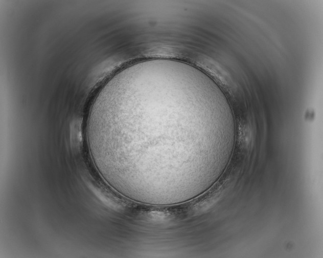 X0000097800302200803141100