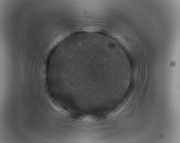 X0000097800303200803141100