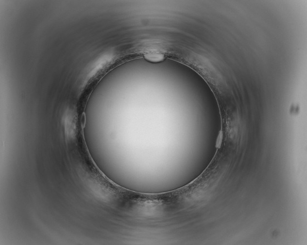 X0000097800304200803141100